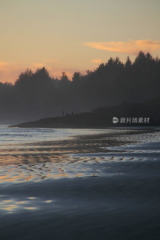 岩石海岸