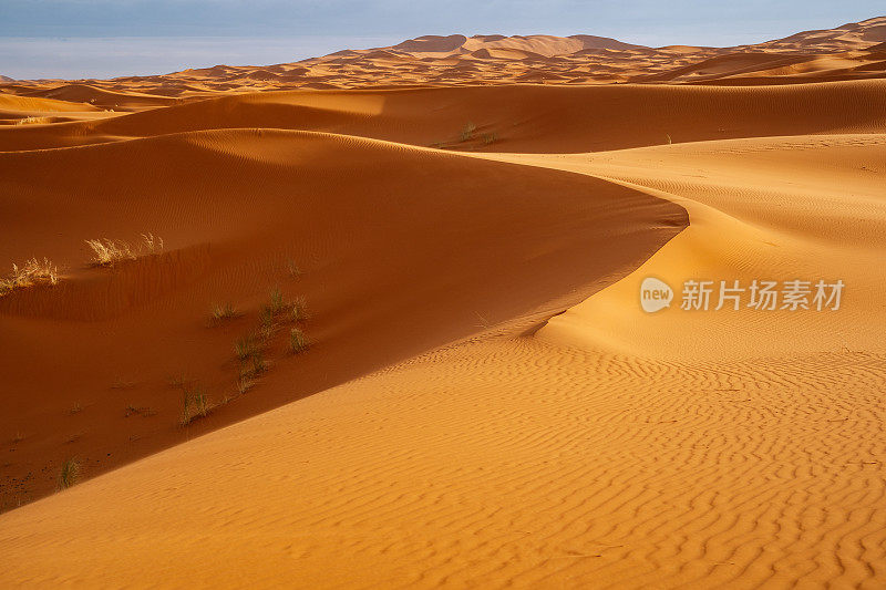 摩洛哥Merzouga沙漠的橙色沙丘和多云的天空。