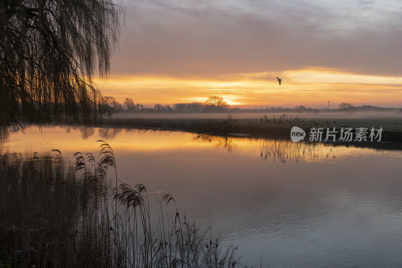 日出时的大河