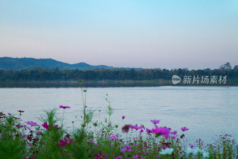 夕阳下泰国和老挝之间的湄公河