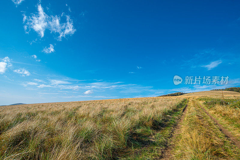 老山或斯塔拉平原，白天的路