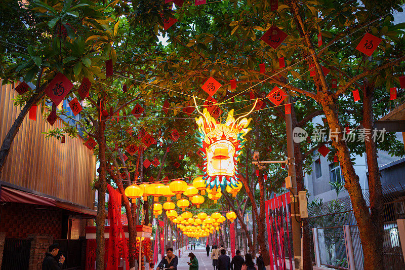 中国新年装饰龙形灯笼