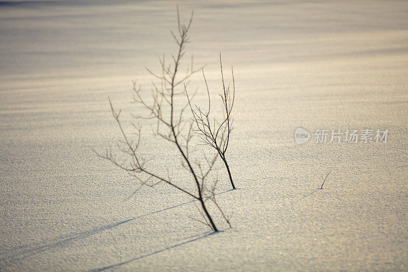 雪纹理。