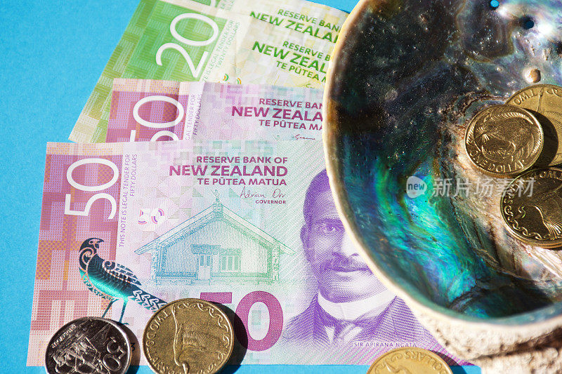 新西兰货币(NZD);美元和硬币与鲍鱼壳