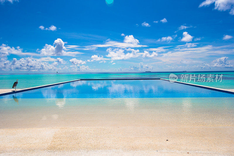 热带酒店的豪华无限游泳池