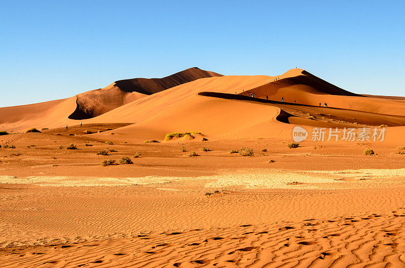 纳米布沙漠景观
