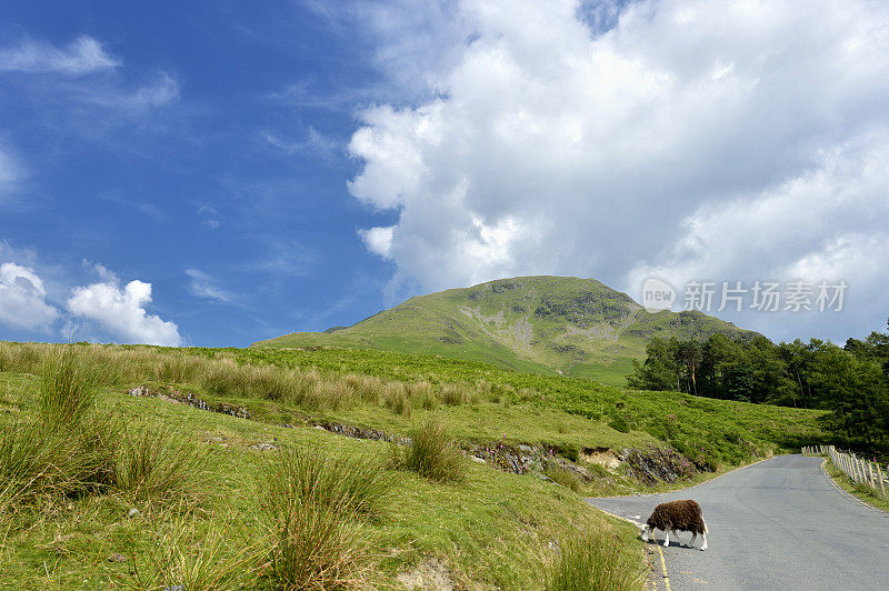 夏日英格兰湖区的乡村风光