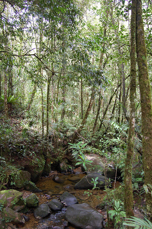 基纳巴卢山国家公园，沙巴州