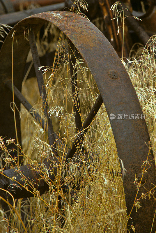 生锈的旧轮子和黄色的草