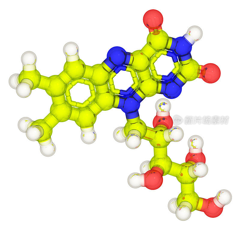 DrugModel:维生素B2