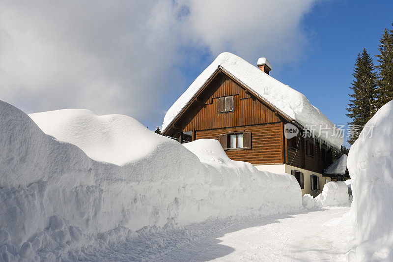 深粉雪