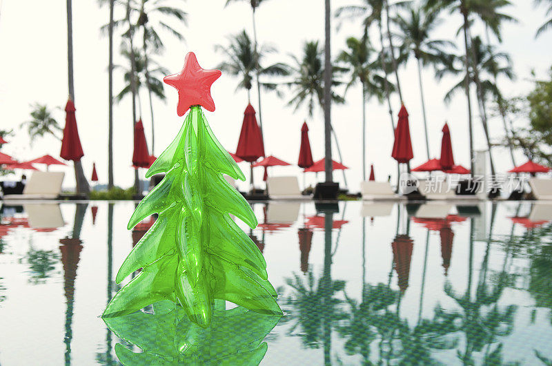 漂浮在池塘棕榈树的圣诞树