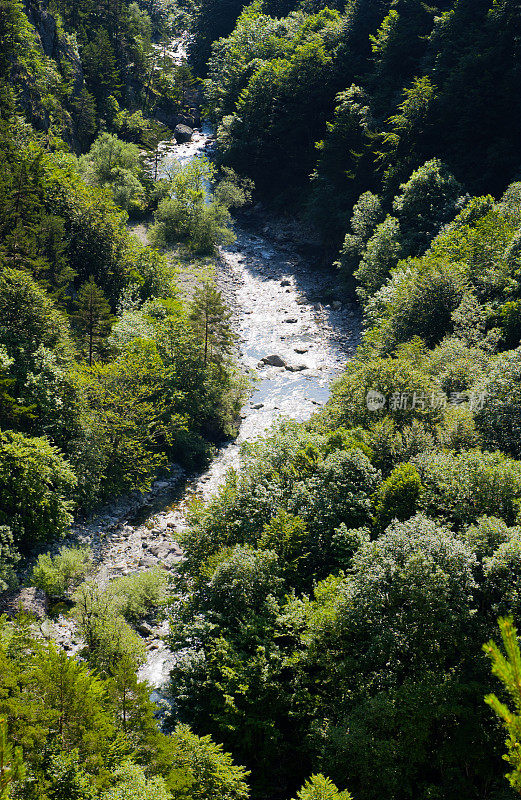 内格罗讷河，环绕着维奥塞，流过树林