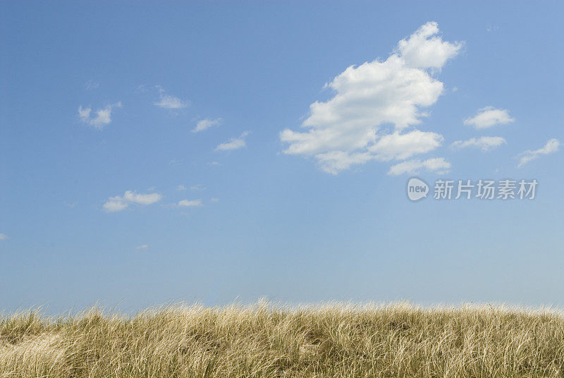 空旷的田野