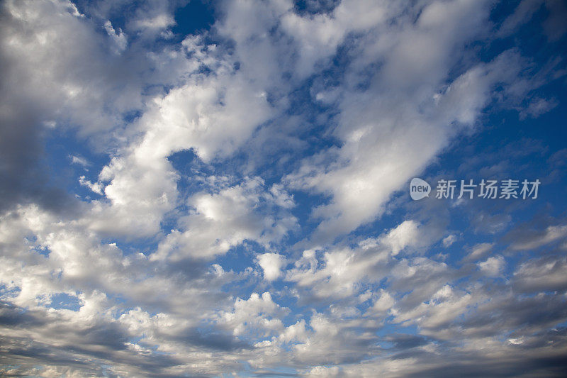 暴风雨将要来临