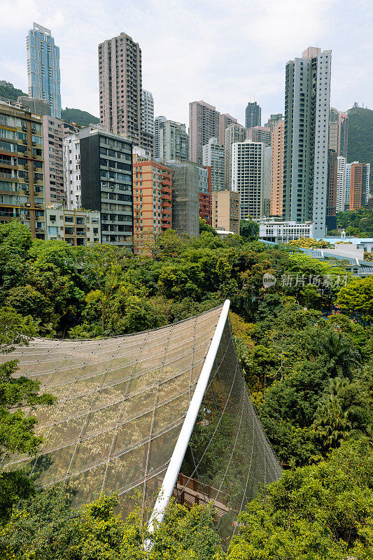 摩天大楼，植物园和动物园，公园，香港，中国