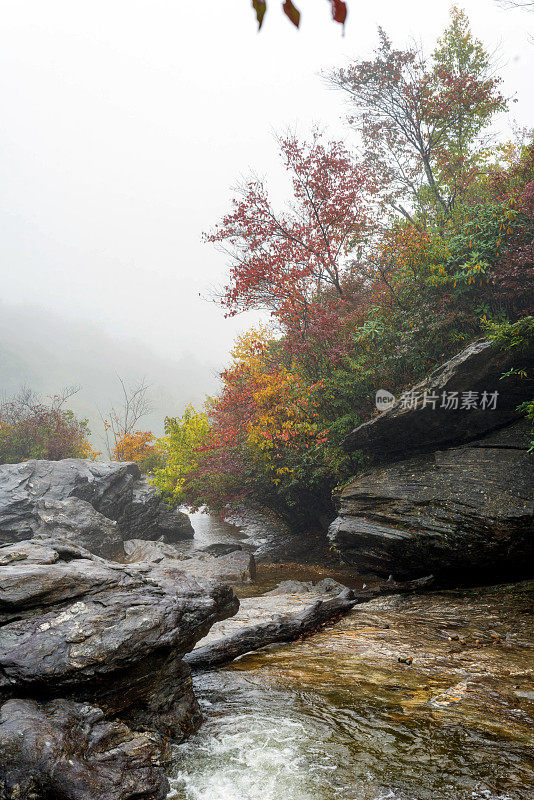 薄雾笼罩着大自然的秋色