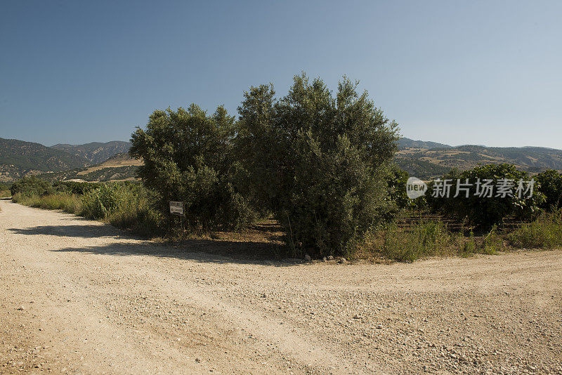 土耳其乡间尘土飞扬的道路