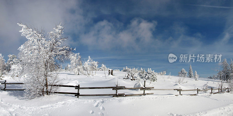 雪地的冬季景观与小径