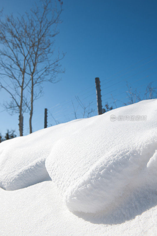 冬天的雪