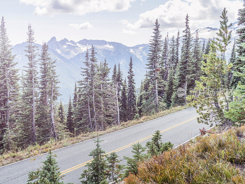 通往雷尼尔山的蜿蜒道路