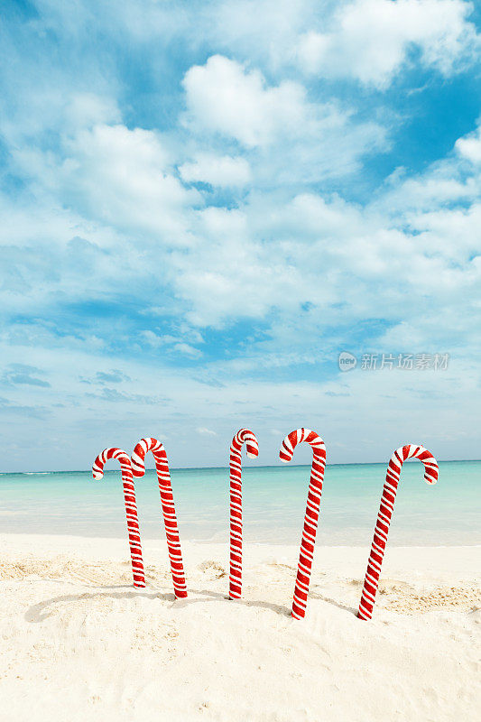 圣诞糖果手杖在热带加勒比白沙海滩佛蒙特