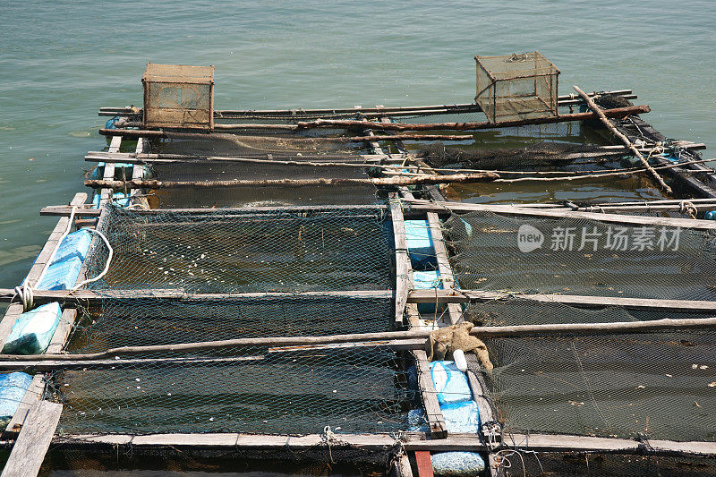 泰国渔民在水中养鱼用的篮子