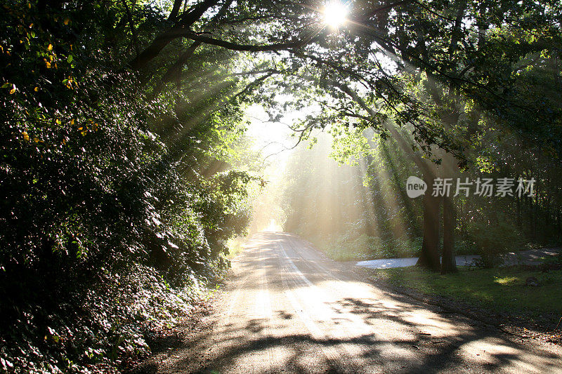 来自天堂的阳光在一条土路上:密歇根