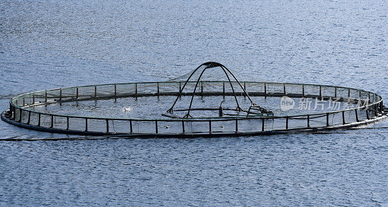 挪威罗浮敦群岛峡湾的鲑鱼养殖场