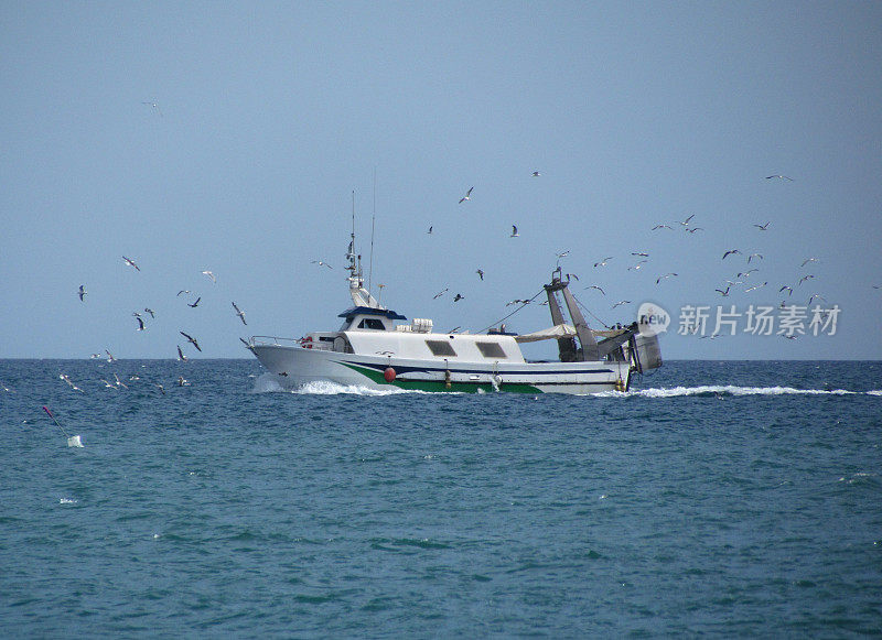 渔船和海鸥