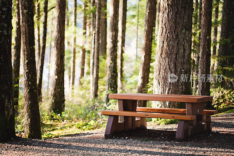 野餐桌上