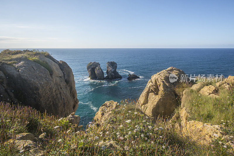 峭壁和胰岛