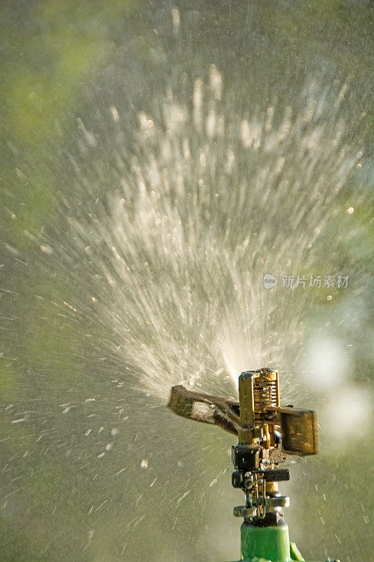 花园洒水……特写镜头