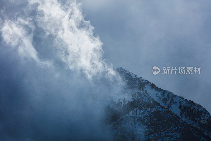 拉斯维加斯查尔斯顿山