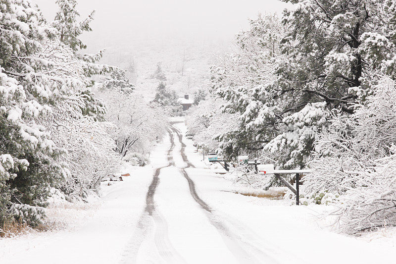 冬季道路跟踪雪灾景观