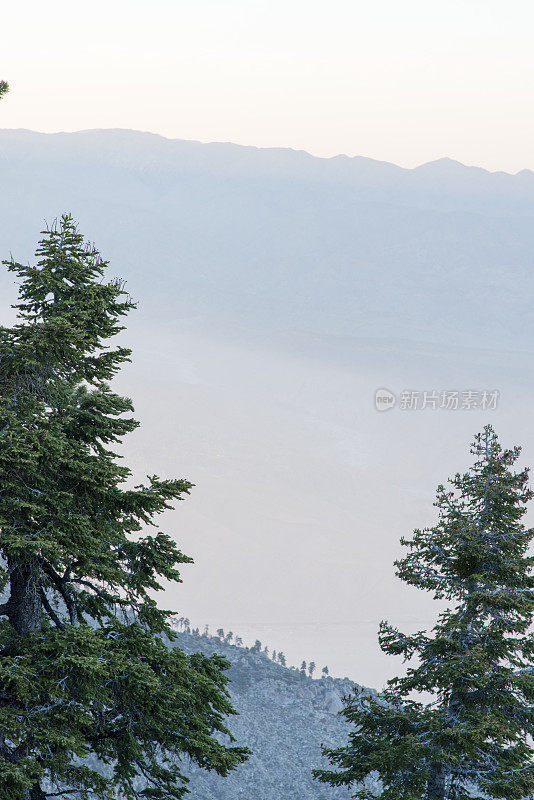 科切拉山谷和棕榈泉