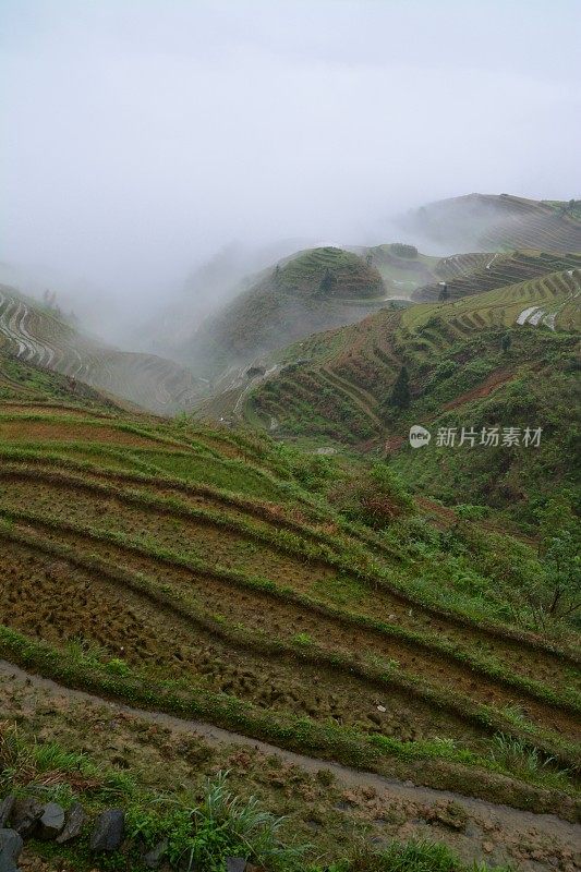 迷雾龙胜梯田，中国广西地区