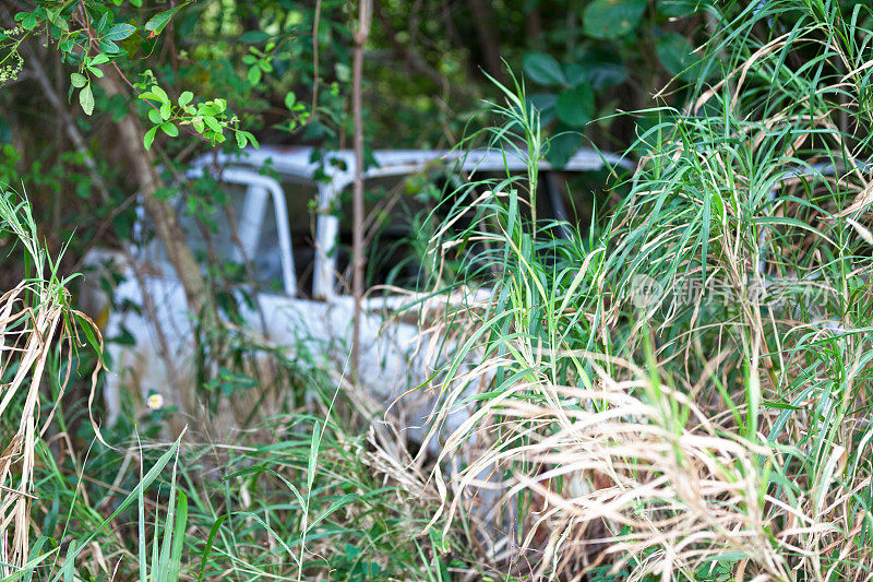 废弃的汽车残骸