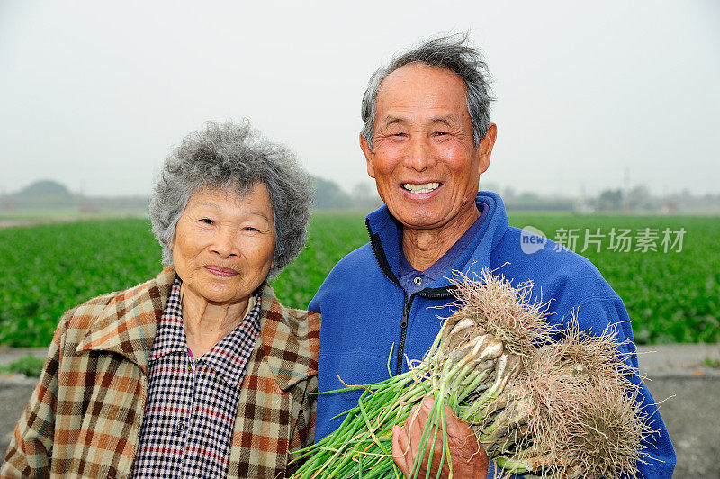 农夫夫妇微笑着拿着韭菜