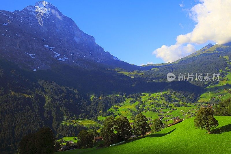 格林德沃田园诗般的山谷全景，艾格尔，草地景观，瑞士阿尔卑斯山