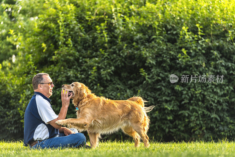 日落时分，一个人和他的狗在玩接球游戏