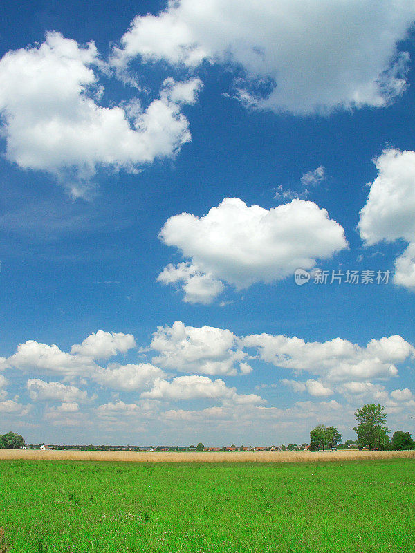 夏天的田野