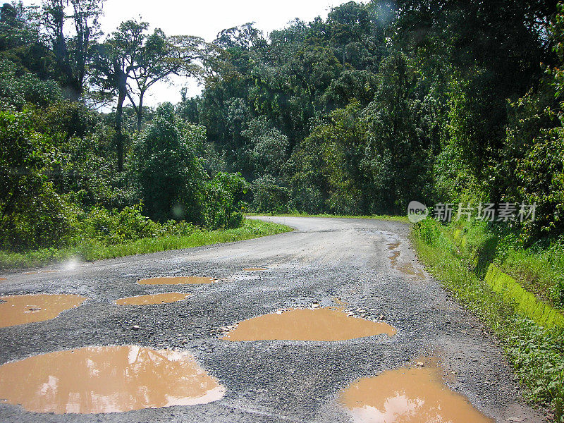 卢旺达Nyungwe国家公园的小路上布满了雨水