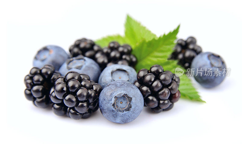 蓝莓和黑莓
