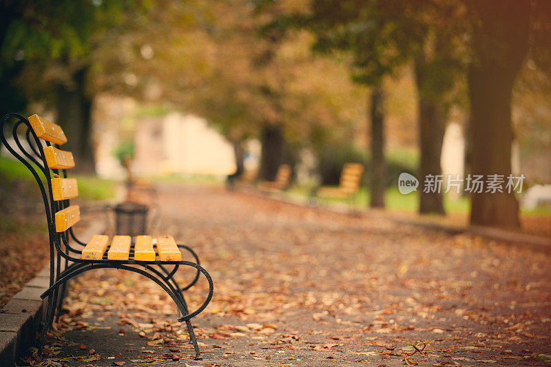 弗罗茨瓦夫美丽的秋天公园，满是长椅和树叶
