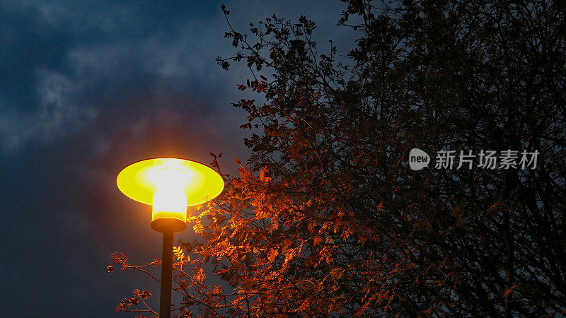路灯与黑暗的天空-来自瑞典小镇莫拉在达拉那县。