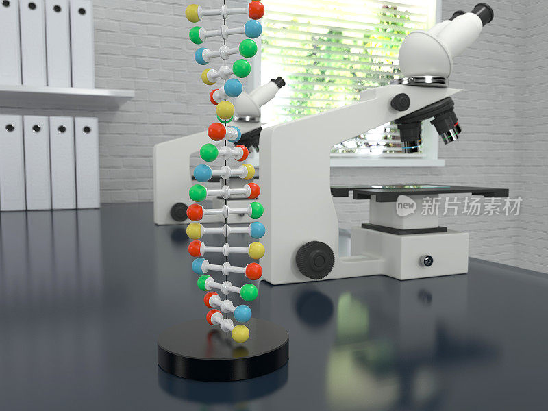 实验室DNA螺旋模型