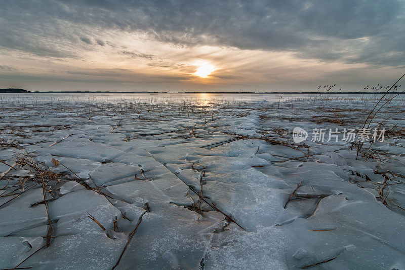 神秘的黄昏冬春景观。冰冻湖面上的壮观日落。有趣的冰壳下的海岸芦苇。第一次解冻