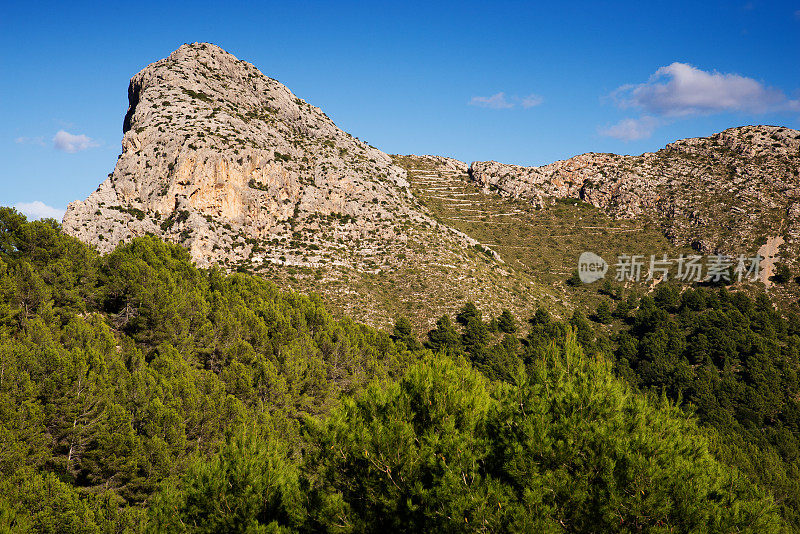 马略卡岛巴利阿里群岛的福马特山