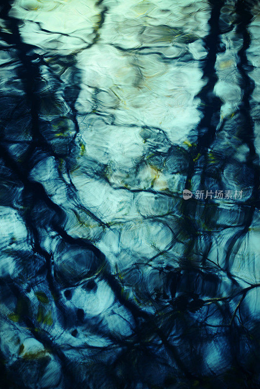 水反射的树枝在蓝黑色抽象模式